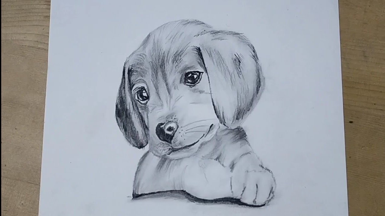 Creative Sketch Pencil Drawing Puppy Dog for Adult