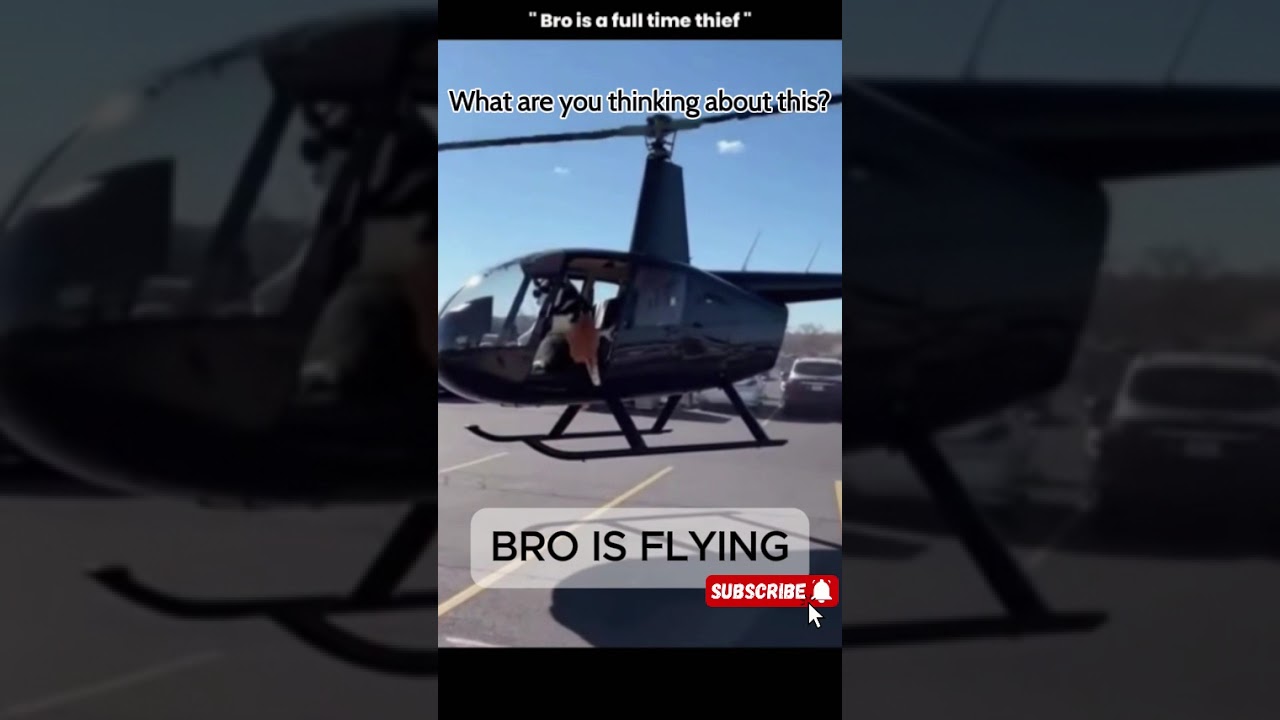 Furry Fails | Funniest Animal Moments Ever!