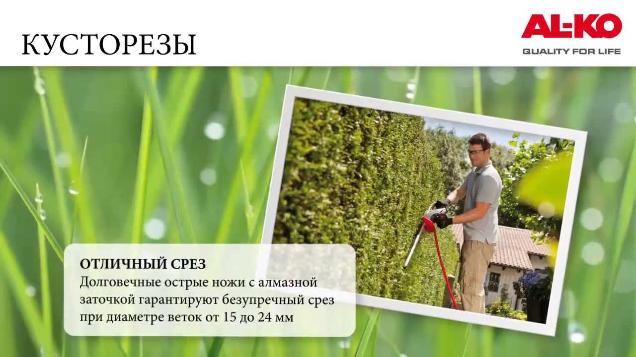 Кусторезы AL-KO (общий обзор)