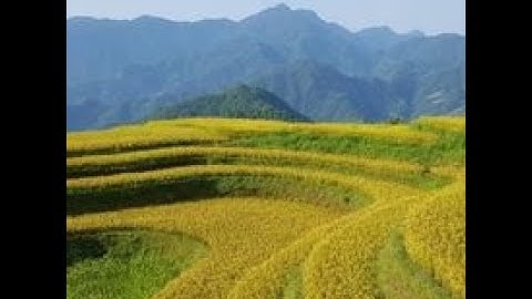 VIDEO  RUONG BAC THANG TAN LAP   BAC QUANG   HA GIANG