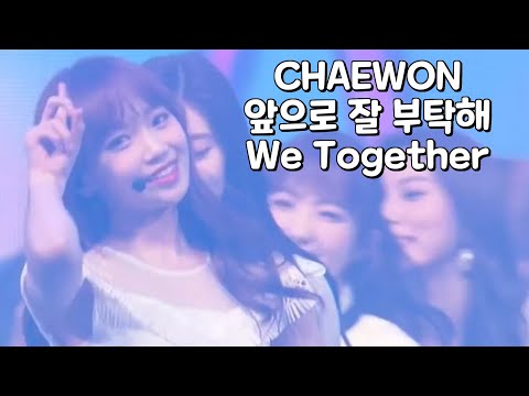 [Chaewon채원] 앞으로 잘 부탁해/We Together [IZ*ONE/아이즈원]