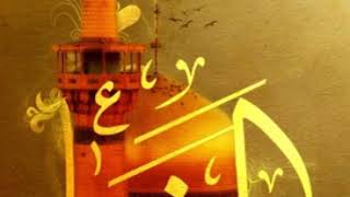 ٣- بحار الأنوار - العلَّامة المجلسي -الباب الأول - أحوال الإمام الرضا و كناه و نقش خاتمه و أحوال أمه