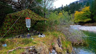 Peaceful Wild Camping by a River in the Forest | British Army Basha Shelter