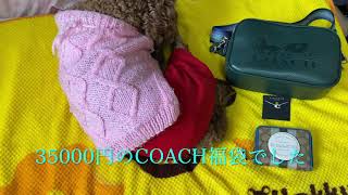 2022年福袋COACH  福袋しまむら