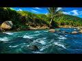 Drift Away with Tropical River Sounds
