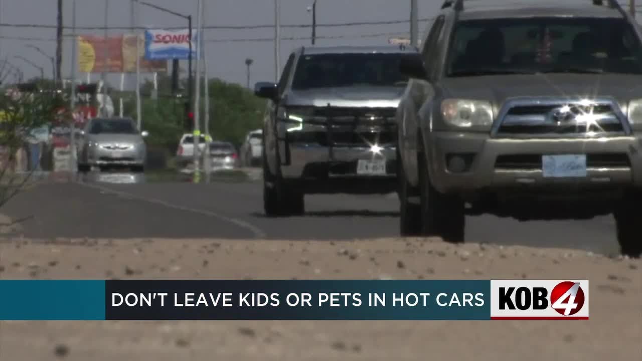 Police warn against leaving children, pets in hot cars - YouTube