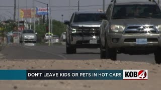 Police warn against leaving children, pets in hot cars