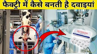 फकटरय म कस बनत ह दवइय Medicine Making Process In Factory In Hindi