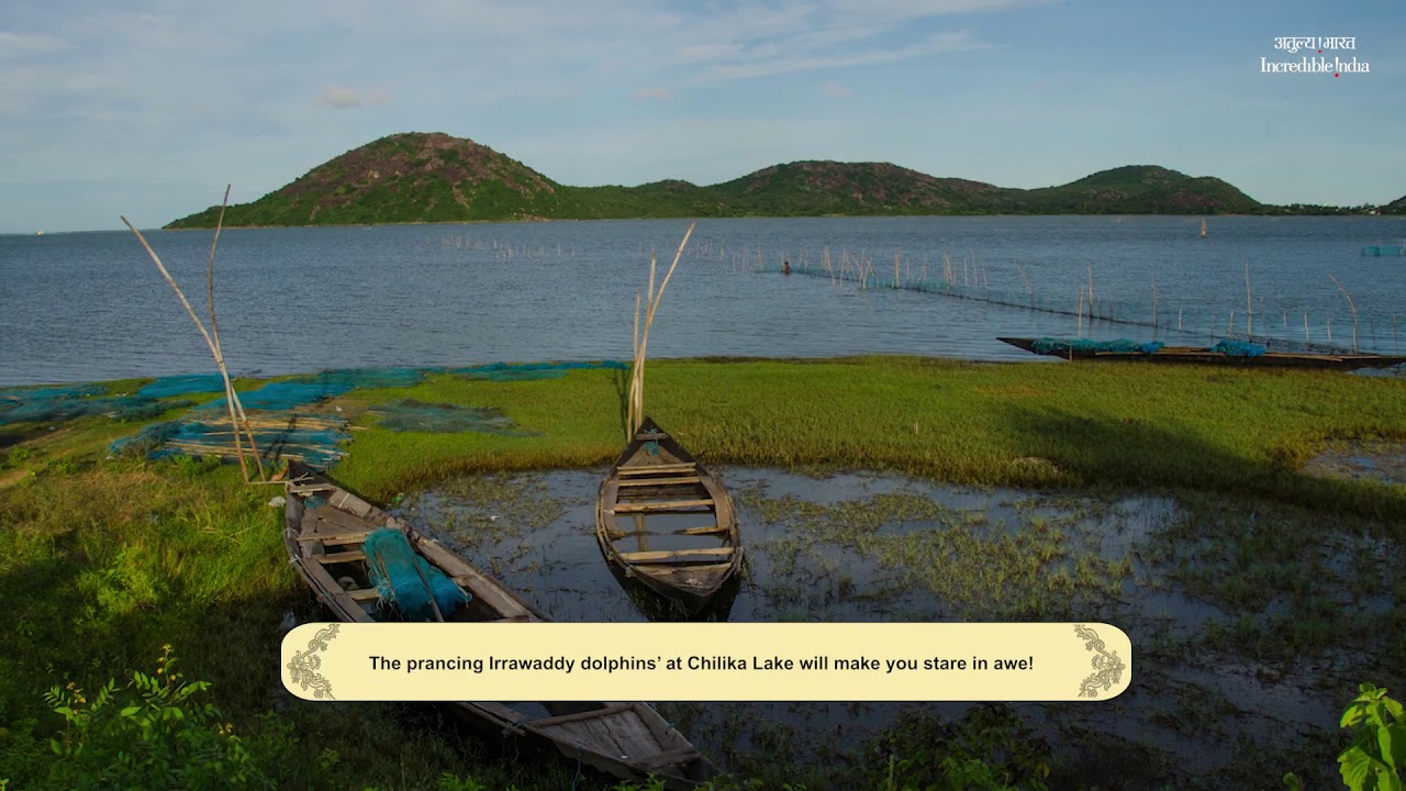 Travel and Reveal India’s Best Kept Secrets in Odisha