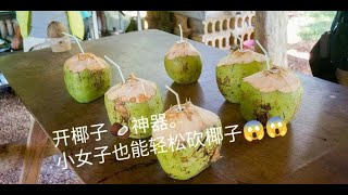 老板自家发明的开椰子神器。。小女子都可以轻松砍椰😱😱太厉害了。