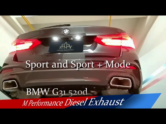 Active Sound System für BMW 530d G30 G31 Sicht-Carbon Glanz