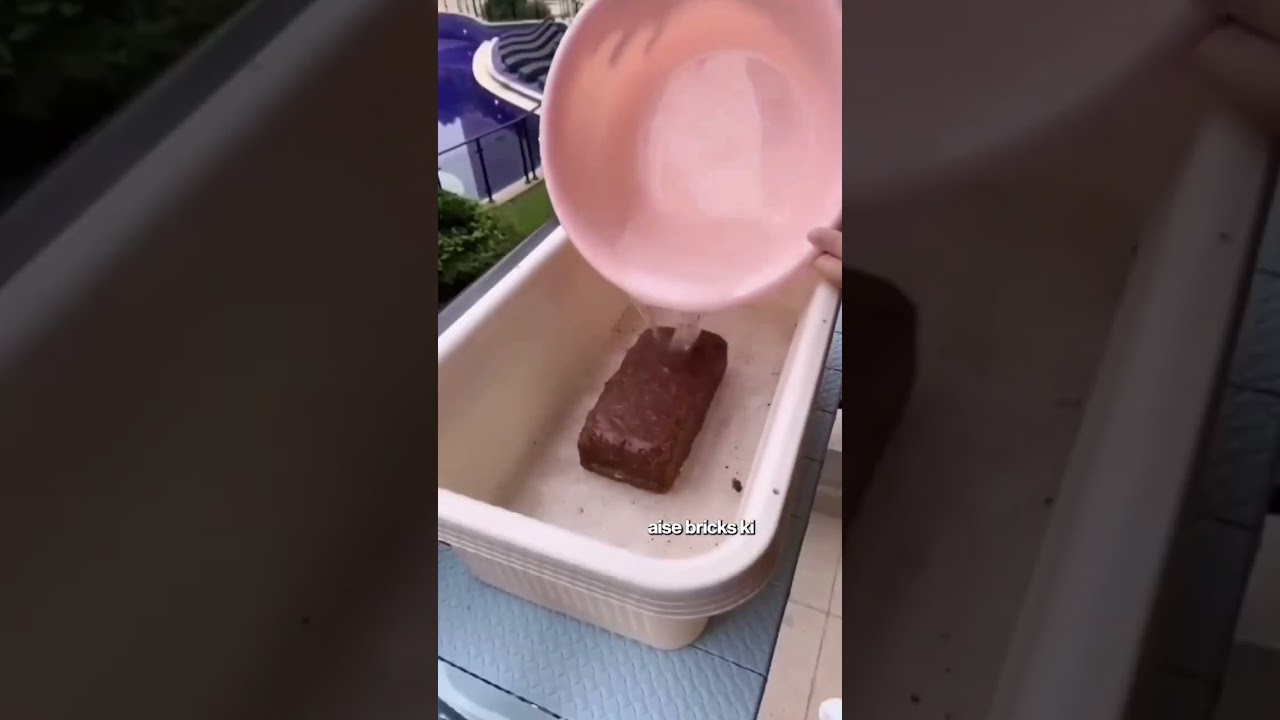 Comment “Garden” to know more about this business idea.