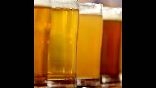 This Montreal distillery is giving wasted beer a new spirited lease on life