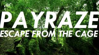 PAYRAZE - ESCAPE FROM THE CAGE (Original Mix) Resimi