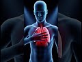 This Hidden Trigger Could Be Causing Your Asthma Attacks #youtubeshorts  #asthma #asthmatriggers