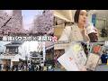運気上げに最強パワスポ神社→満開桜お花見🌸vlog【アラフォー】