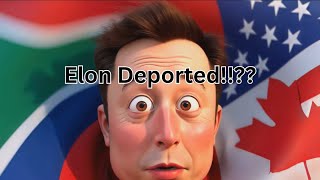 Can Elon Musk Really be Deported from the USA?