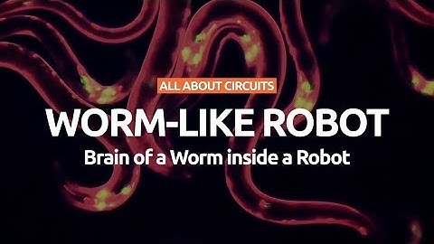 Scientists have put the Brain of a Worm inside a Robot