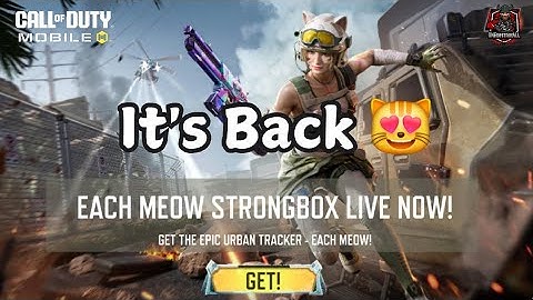 Each Meow Strongbox is Now Back in Store: Did I Get Lucky This Time?