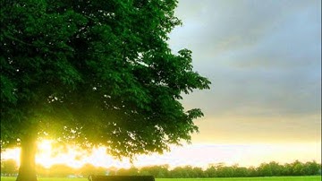 سورة الواقعة ناصر القطامي خاشعة جدا