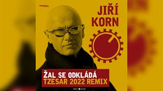 Jiří Korn - Žal se odkládá (TZESAR 2022 Remix)