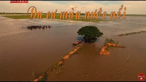 Phóng Sự Việt Nam Mới Nhất 2017 : Miền Tây Mùa Nước Nổi : Du Cư Mùa Nước Nổi