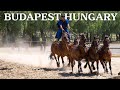 The Fastest Horses in Hungary: Meeting the World Champion Cowboys
