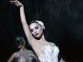 Lana Del Rey Swan Song Black Swan Lana Del Rey Swan Song Black Swan