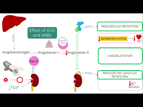 ACE inhibitors (and ARBs) - Mechanism of action