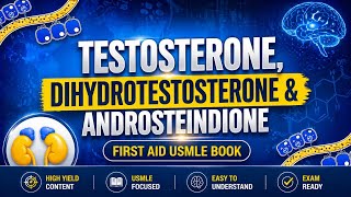 Androgens Explained | Testosterone, DHT & Androstenedione | High Yield Endocrinology