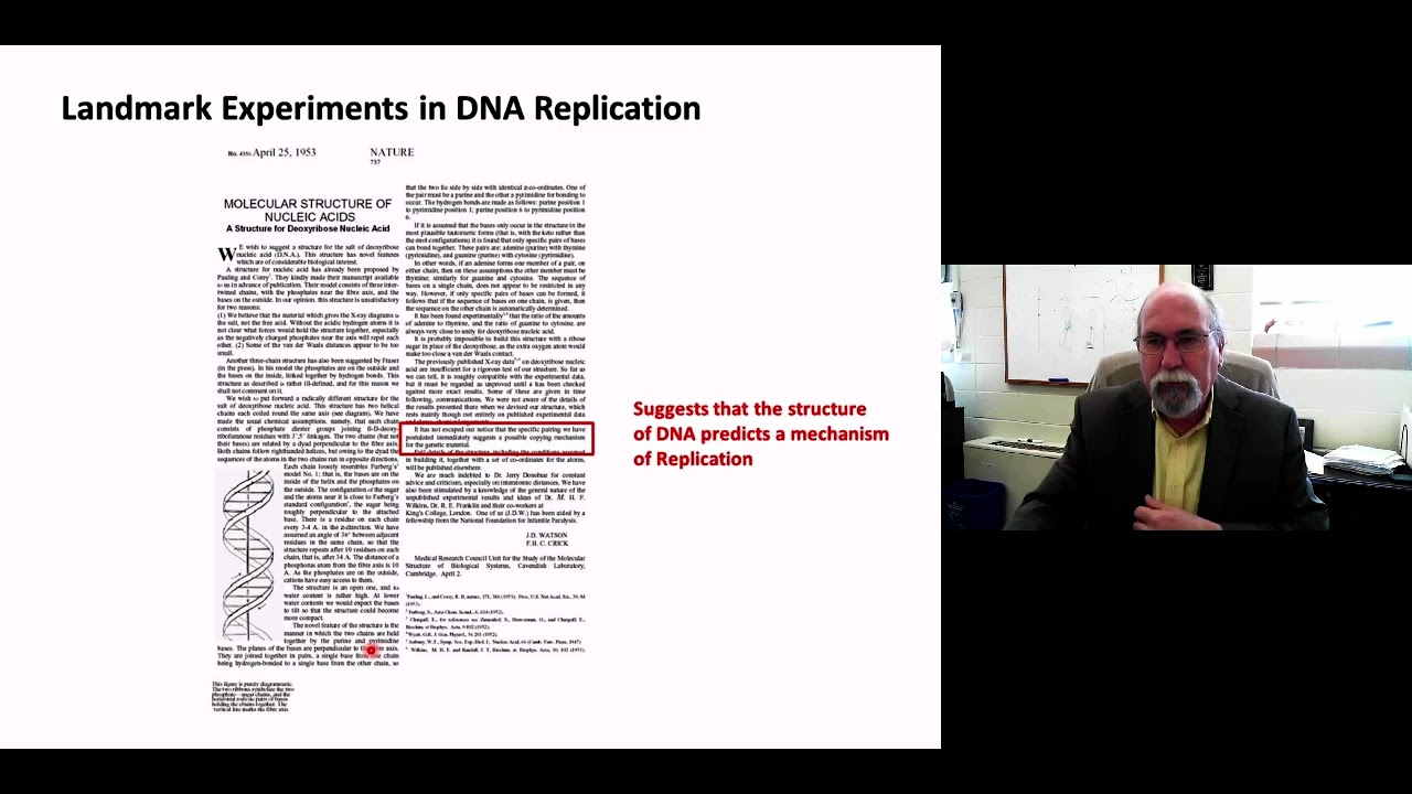 GG   DNA Replication Part 1