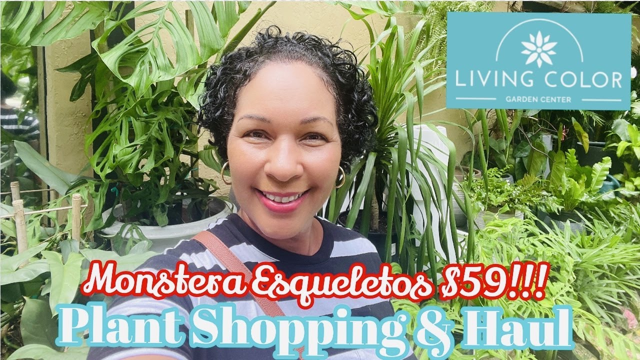Plant Shopping & Haul at Living Color Garden Center Ft. Lauderdale || Monstera Esqueletos $59!!!