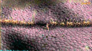 runescape white berries guide