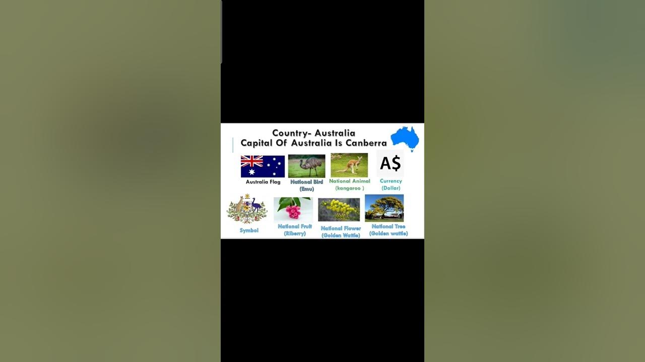 National Symbols Of Australia #nationalsymbol #australia