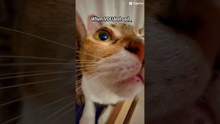 Remember That You Have Me