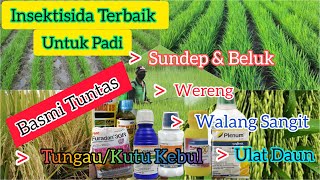 Insektisida Terbaik,Basmi Tuntas Hama Tanaman Padibeluk,Wereng,Ulat Grayak,Walang Sangit,Tungau.
