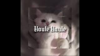 Download lagu Haule Haule (bollywood song - Rab ne bana di jodi) - speed up | jxvnav