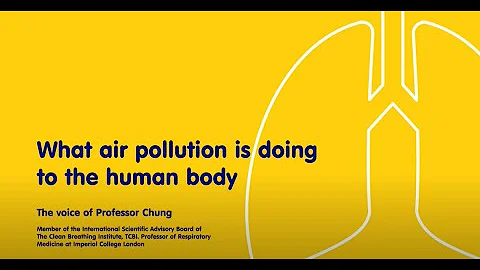 What air pollution is doing to the human body