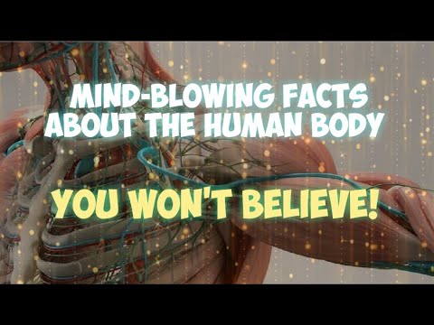 Mind Blowing Facts About Human Body, You Won't Believe! - YouTube