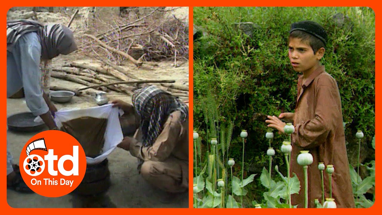 1998: Внутри героиновой торговли