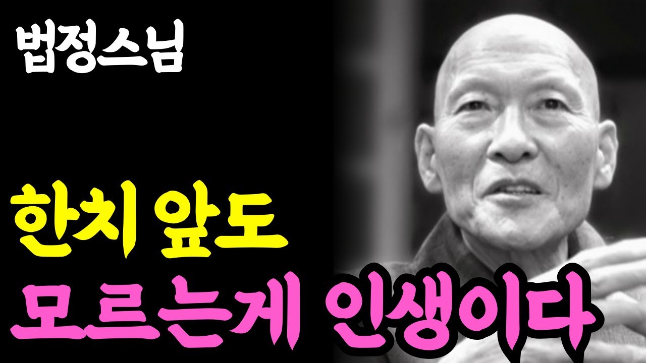 《노년 인생명언》 현명한 사람은 '이렇게' 삶의 무게를 분산한다 l 법정 스님 l 부처님 말씀 l 석가모니 l 행복한 노후 l 삶의지혜
