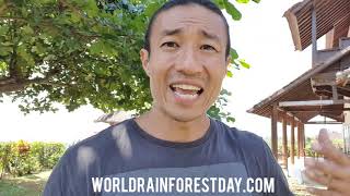 Help Protect The Rainforest