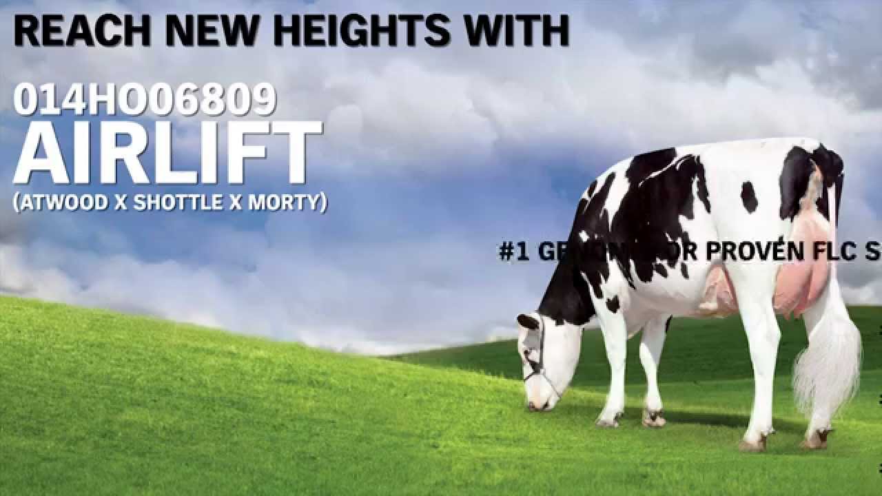 Reach New Heights with 014HO06809 AIRLIFT!