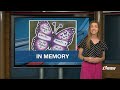 Sunshine Connections honors overdose victims with butterflies