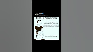 Programmer