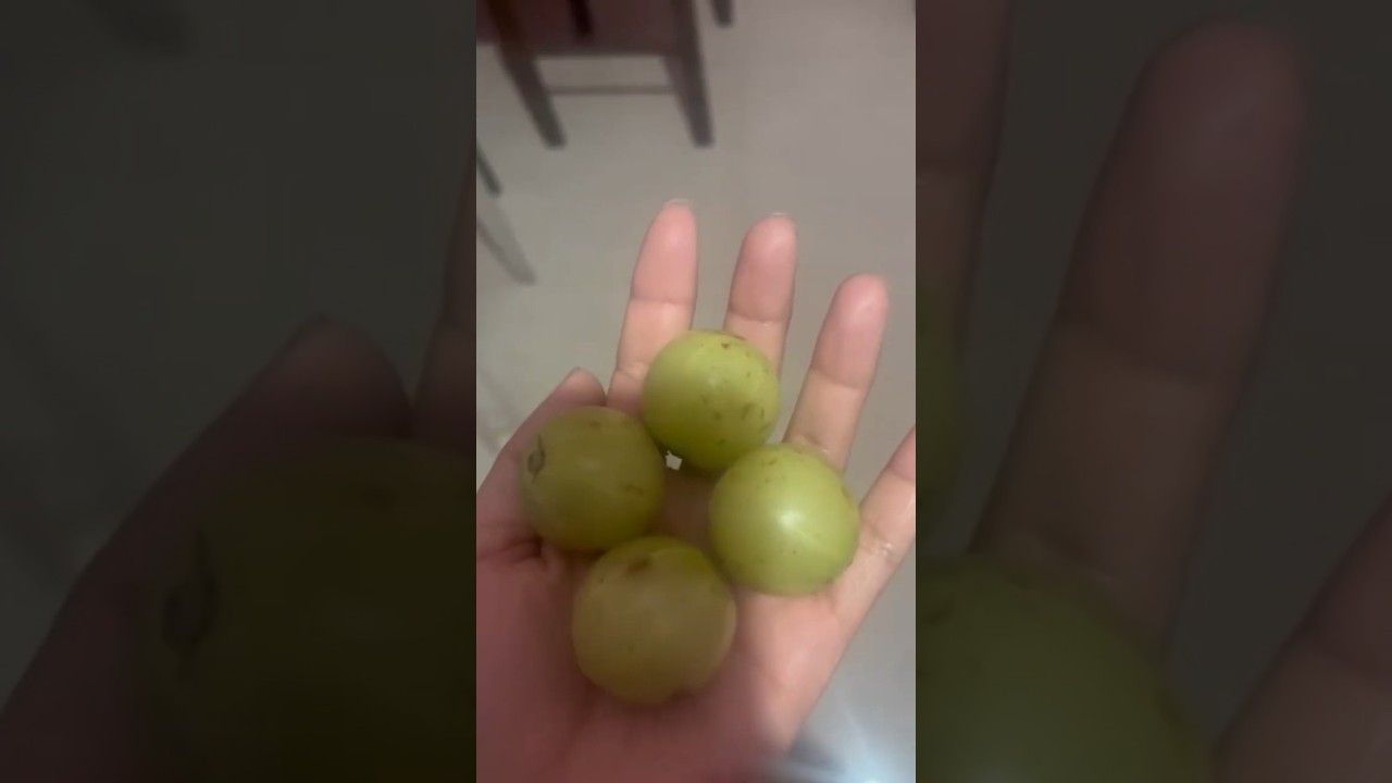 hair fall problem solved 💆🧖🤷 