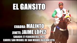 "EL GANSITO" Cuadra:  MALINTO Sábado 27 Febrero 2021