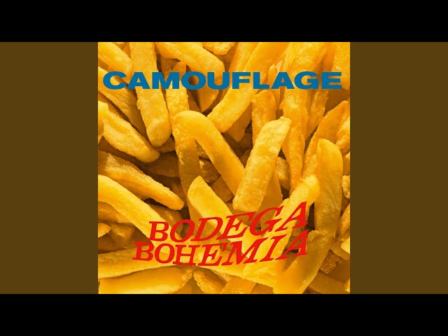Camouflage - Crime