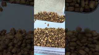 Crunchy chinchin recipe #snacks #canapes  #eventcatering #pastries #shorts