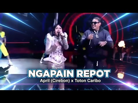 Toton Caribo x April DA7 | NGAPAIN REPOT